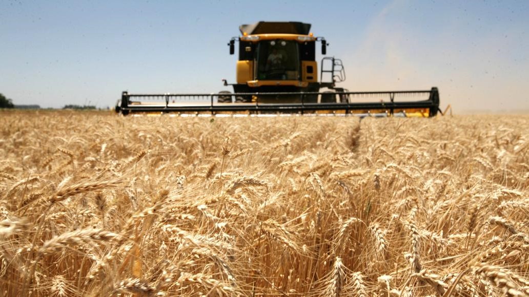 El USDA mantiene la cosecha de trigo estadounidense 23/24 en 49,31 ...