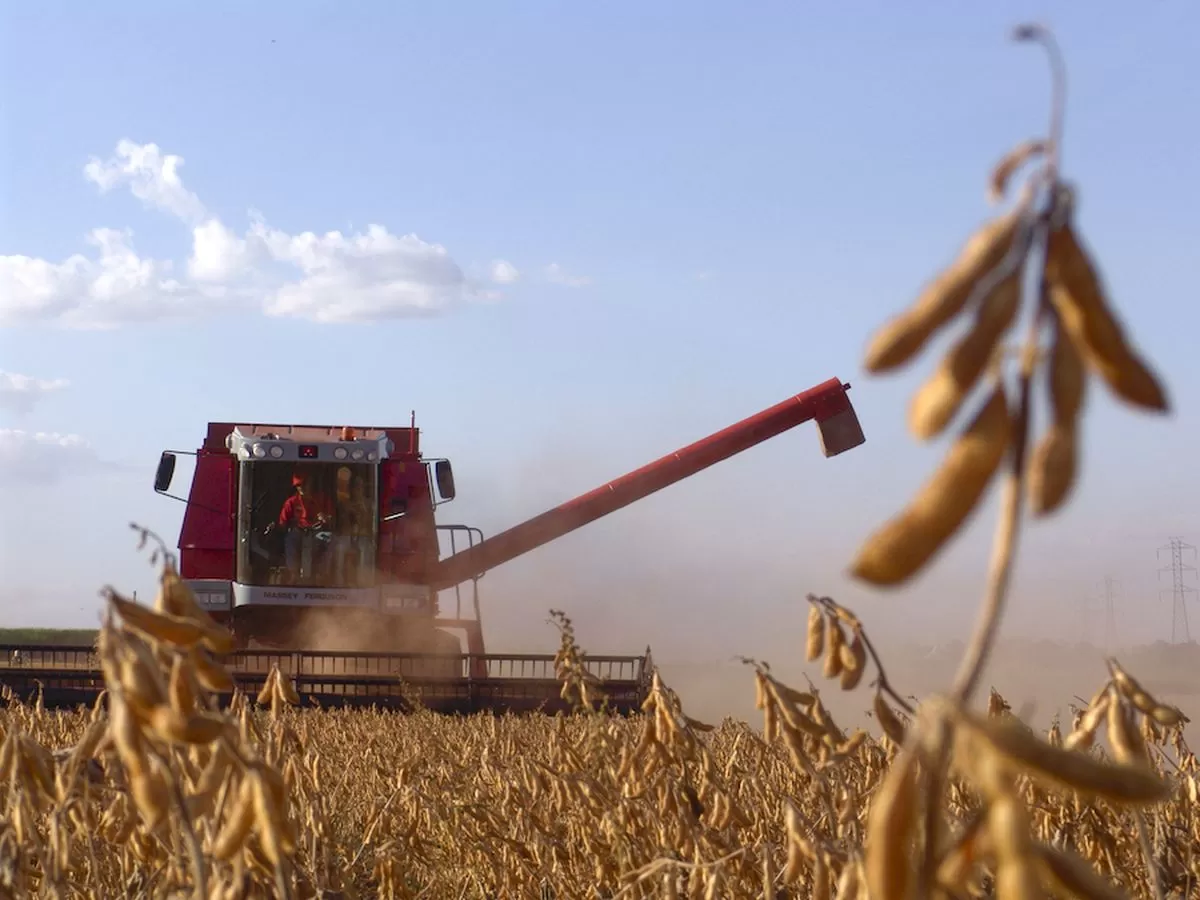 Las precipitaciones complicaron la cosecha de la soja en Argentina