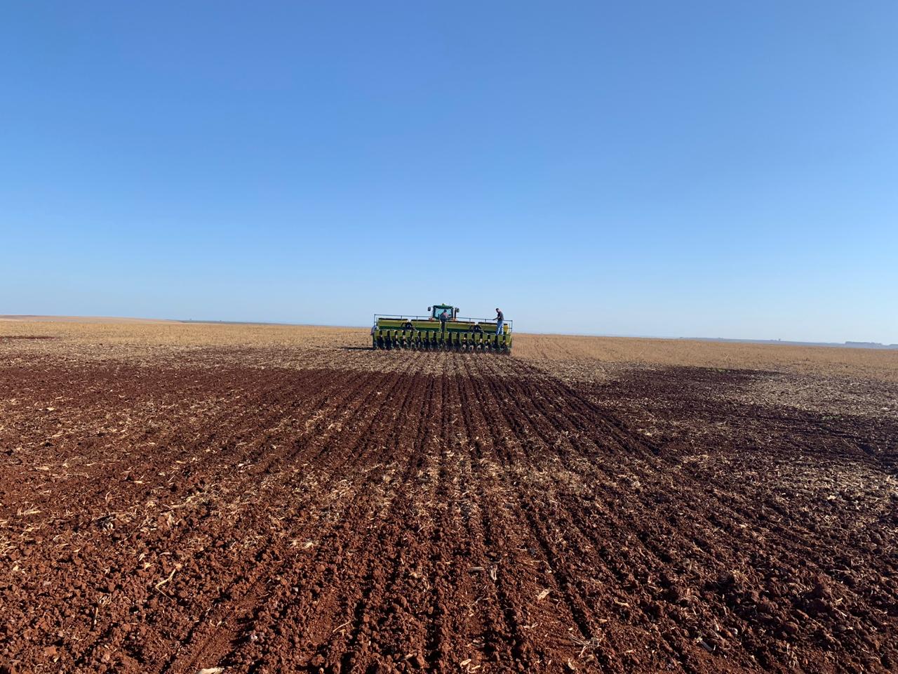 La siembra de soja alcanza el 54% en Brasil y es la 2ª más rápida de la ...